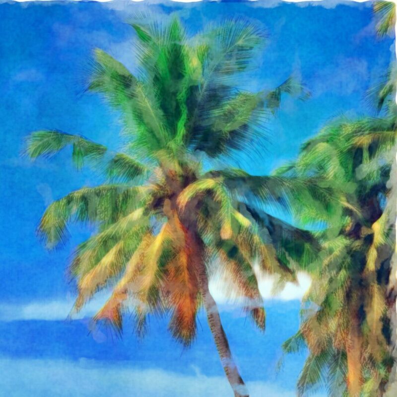 Rarotonga (Coming 2026)